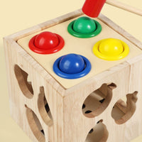 Hand-Eye Coordination 4 in 1 Toy Set Fine Dexterity Skills Wooden Activity Box Educational Fishing Game Paint for Preschoolers, Preschool