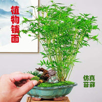 Artificial Moss Landscape Decor for DIY Terrariums and Potted Plants