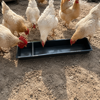 Feeding Trough, Livestock, Chicken Feeder, For Cattle, Feed Trough, Galvanized Metal, 75/90cm×20cm, Dry/Wet Feed Compatible