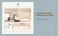 Adjustable anti-glare LED light