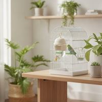 Touch-Activated Bird Water Dispenser Automatic Cage Water Dispenser Hanging Bird Waterer with Nozzle Transparent for Parrots, Budgies, Cockatiels, Aviary