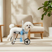 Front Leg Dog Wheelchair Four-Wheel Pet Front Leg Wheelchair Stable