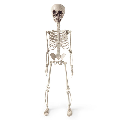Simulated Skeleton Realistic Bones Halloween Skeleton Decor Creamy White Finish for Spooky-House Party