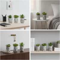 3 Pieces Owl Planter Compact Owl-Shaped Planter Decorative for Desk, Windowsill