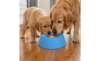 Dog Lick Bowl Interactive Design Licking Feeder Bowl Anti-Bloat