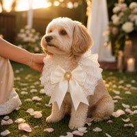 Vintage Lace Bow Pet Bib Collar for Cats and Small Dogs, Princess Wedding Decoration