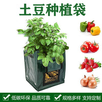 PE Potato Grow Bag with Flap, Square Vegetable Planter for Home Gardening