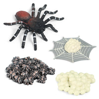 Halloween Prank Toy Insect Animal Life Cycle Models for Kids