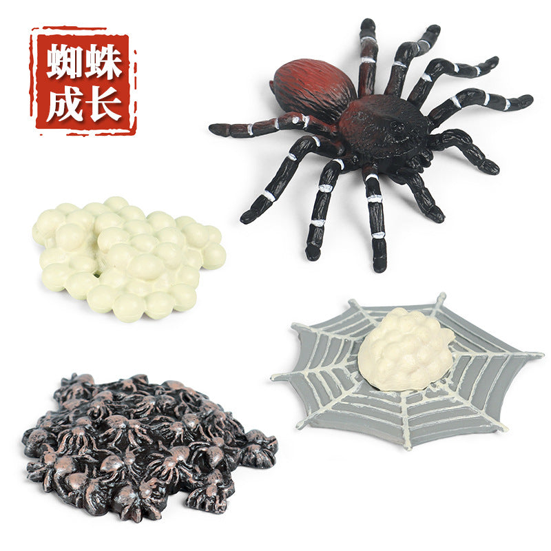 Halloween Prank Toy Insect Animal Life Cycle Models for Kids