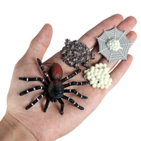 Halloween Prank Toy Insect Animal Life Cycle Models for Kids