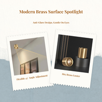 Brass Adjustable LED Spotlight