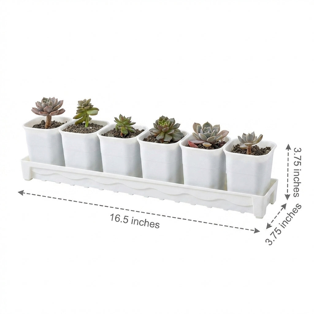 Plant Saucers, Rectangular Grooved Drip Tray and Water Tray for Garden Plants, Simple Style Plant Trays for Indoor Outdoor Use
