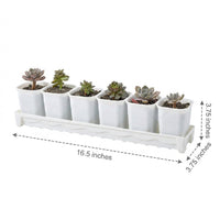 Plant Trays and Rectangular Plant Saucers, Drip Tray with grooves for Garden Plants, Indoor Outdoor Water Tray for overflow, Simple Style
