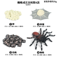 Halloween Prank Toy Insect Animal Life Cycle Models for Kids