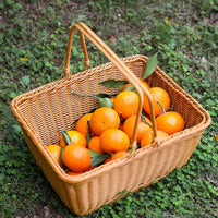 Woven Rattan-Style Handled Basket for Outdoor Storage, Fruit, Vegetables, Picnic, and Shopping