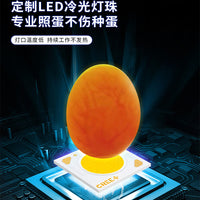 鸟用照蛋神器养殖鹦鹉手电筒鹦鹉芦丁鸡照蛋灯孵化专用LED冷光