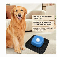 Anti-Slip Slow Feeder Bowl for Pets