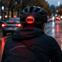 Bicycle Helmet Accessories: Tail Lights, Liners, Visors, and Lenses