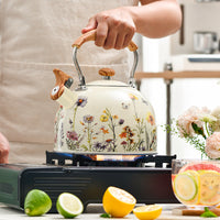 Nordic Style Stainless Steel Whistling Kettle 2.5L