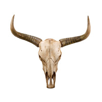 Vintage Resin Yak Head Wall Hanging Decor for Living Room