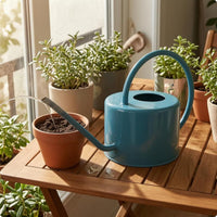 Galvanized Metal Watering Can Compact Galvanized Watering Can Exposed Top