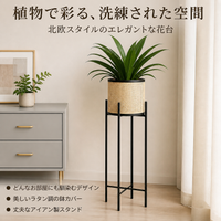 Iron Flower Stand, For Houseplants, Black, Planter Stand, Living Room, Window Side, Fits Small Spaces