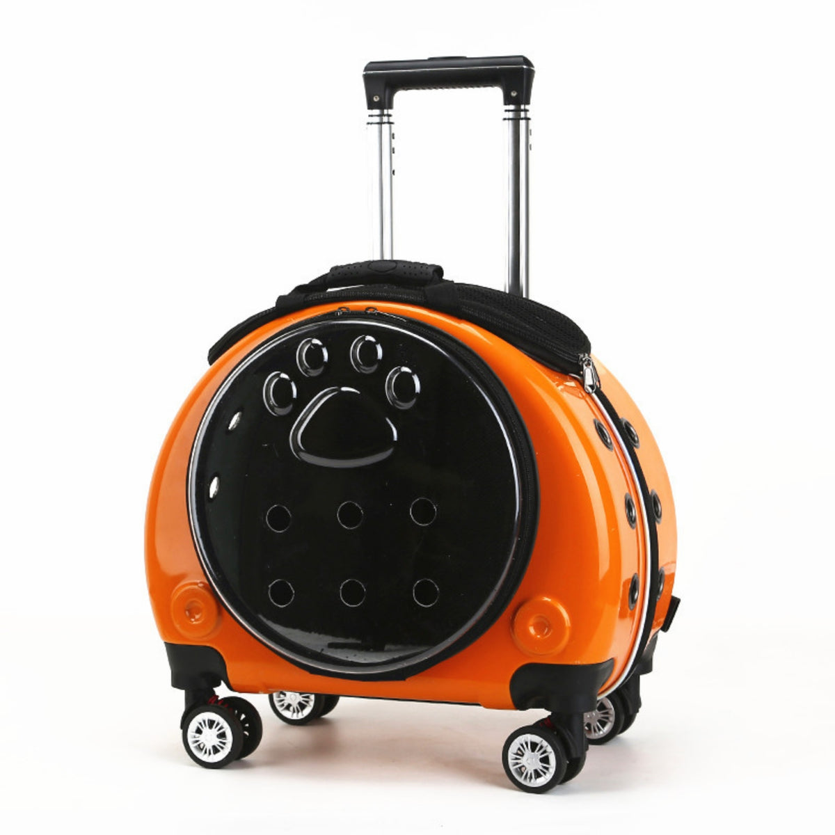 Caisse de Transport avec Roulettes Rigide Transporteur Transparent pour Voyage