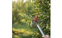 Fruit Harvester with Metal Cup Guard Fruit Picking Tool Picker for Gardeners, Garden, Outdoor