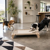 Cot-Style Dog Bed Portable Dog Cot Bed Anti-Slip