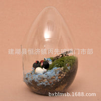 Creative Micro Landscape Glass Bottle Ornament, Goose Egg Shaped Decorative Vase