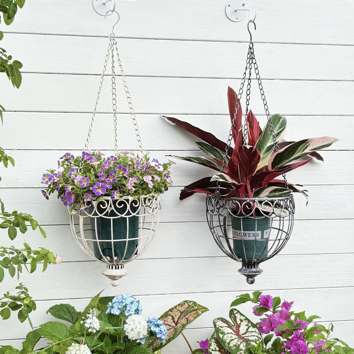 Outdoor Iron Hanging Planter Basket for Garden and Balcony