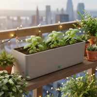 Vegetable Growing Container Narrow Border Design Plastic Window Box for Balcony