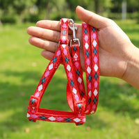 Dog Harness and Dog Leash Set, Adjustable Strap Design for Small Dog Puppy, Outdoor Walking Cat Harness and Puppy Harness in Mixed Colors