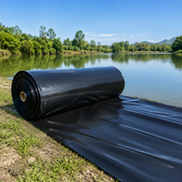 Waterproof Canvas Tarp, Heavy-Duty Waterproof Sheet, 10m Thick Blue Sheet, for Garden, Pond