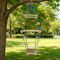 climbing ladder set