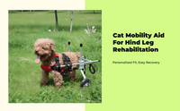Adjustable wheelchair for disabled cats