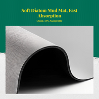 Diatom Mud Bath Mat fast-dry absorbent