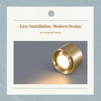 LED Brass Spotlight, Dimmable