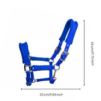 Padded Horse Halter Buckle-and-Loop Fastening Strapping Horse Halter