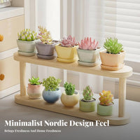 Display Rack Solid Wood Multi-Tier Wooden Plant Stand Space-Saving Desktop Rack for Windowsill, Office, Balcony