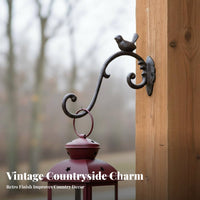 Cast Metal Avian Hook Multi Functional Cast Iron Wall Simple Installation to Install Decorative Plant Hanger for Outdoor