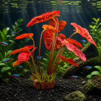 Artificial Aquarium Plant Decorations - Lifelike Water Banyan Leaf Ornaments for Fish Tank Landscaping