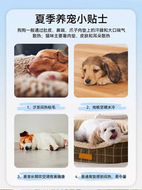 批发宠物冰垫猫咪夏季凉席垫可拆洗狗狗冰睡垫降温狗窝猫窝宠物窝