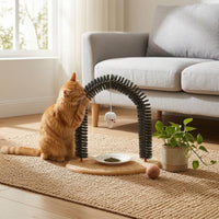 Feline Rubbing Arch Toy Dense Bristles Pet Supplies 3-in-1
