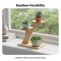 Multi-Level Succulent Rack Staggered Levels Multi-Tier Tabletop Stand for Desk