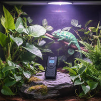 Reptile Uvb Meter Powered Reptile UVB Meter Handheld for Terrarium