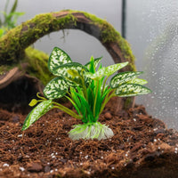 Artificial Reptile Plant Realistic Enclosure Plant No Fading Pet Decor for Jungle Tank