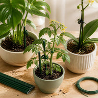 Plant Support Stakes for Climbing Plants and Potted Flowers