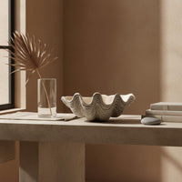 Clamshell Decor Bowl Artistic Asymmetry Clam-Shaped Decor Bowl Texture Table Ornament for Homestay