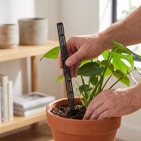 Plant Pot Aeration Tubes for Root Rot Prevention